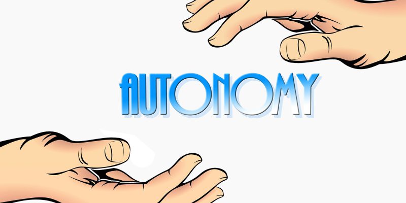 Autonomie Is Een Van De Drie Pijlers Van Intrinsieke Motivatie.