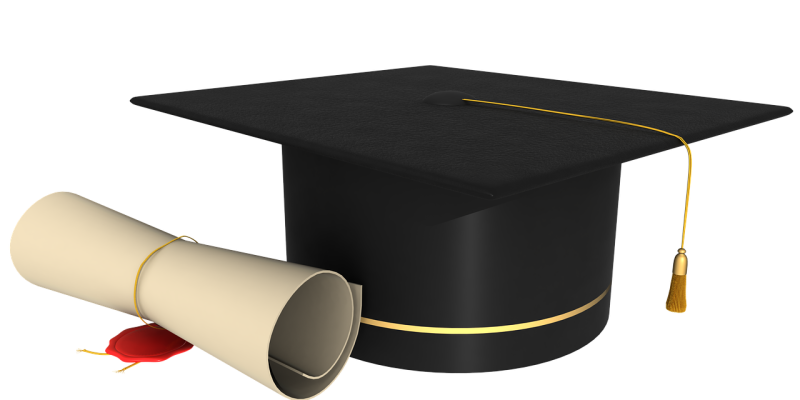 Diploma. Patronen doorbreken. Zelfregiecoach.