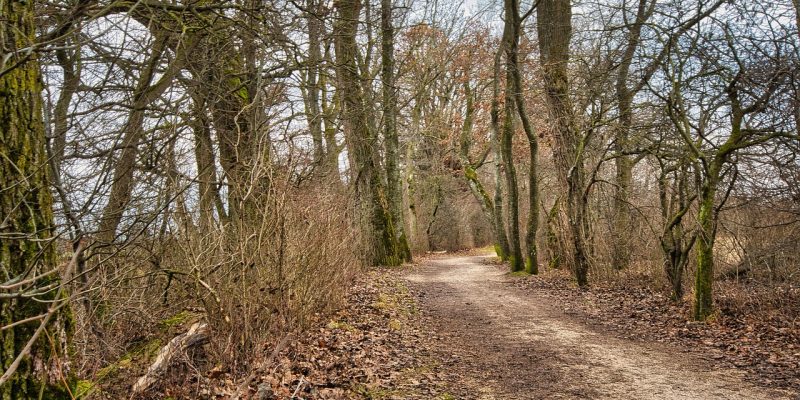 Rust. Patronen doorbreken. Patroondoorbreekcoach.