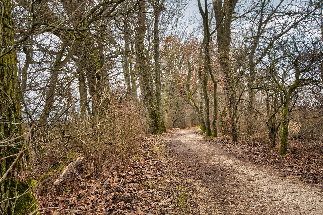 Rust. Patronen doorbreken. Patroondoorbreekcoach.