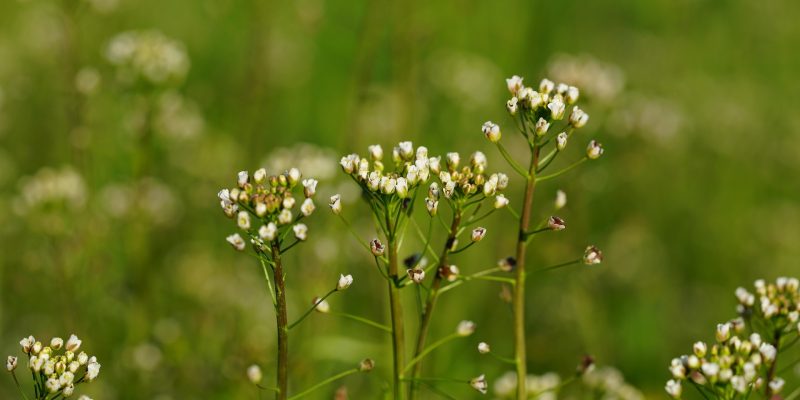 Overgangsklachten. Patronen doorbreken. Patroondoorbreekcoach.